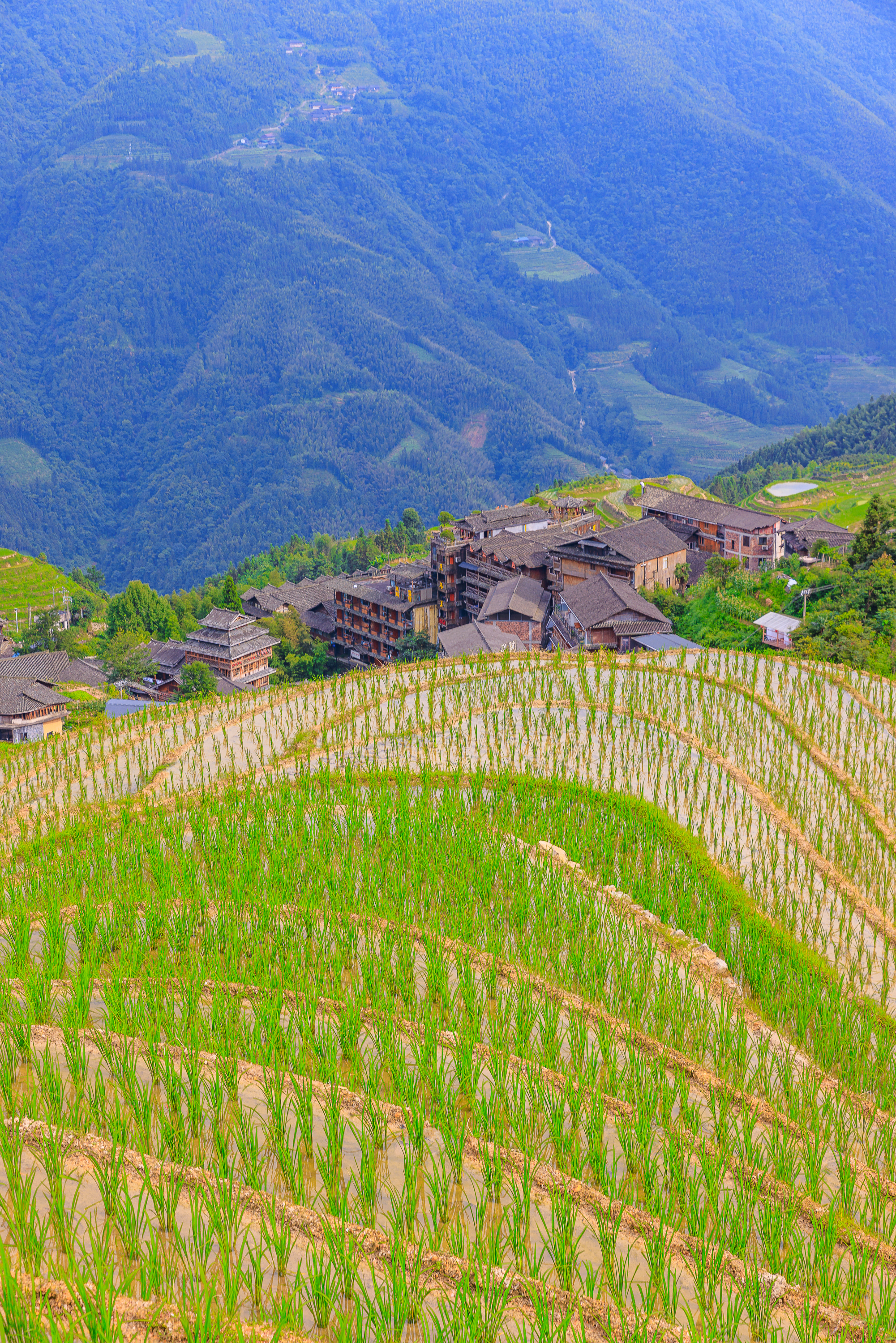 Zhuang Dorf
